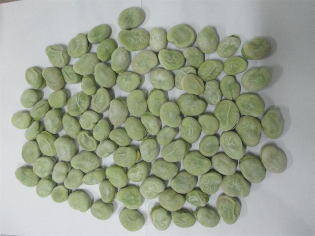 Frozen IQF BROAD BEAN Shape cube Address no Content no Type potato Style FROZEN Weight (kg) 10 Packaging Bulk Ingredients - Image 3