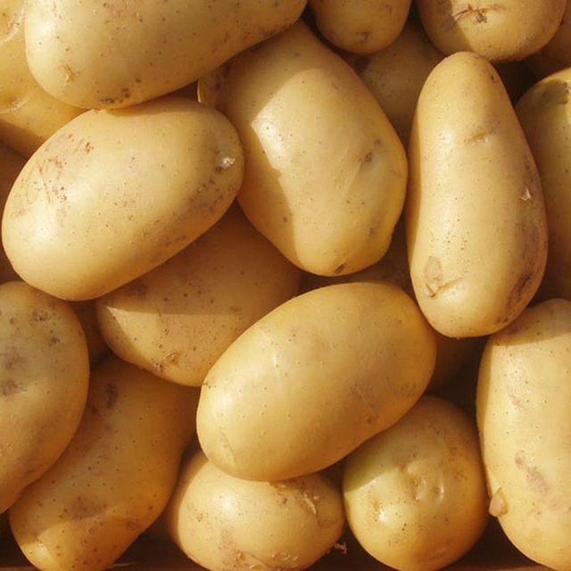 Fresh Potatoes Bulk Fresh Harvest Large Size Clean Natural Potatoes For Export Buyers - Image 3