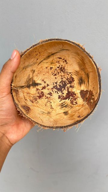 Coconut Shell - Image 3