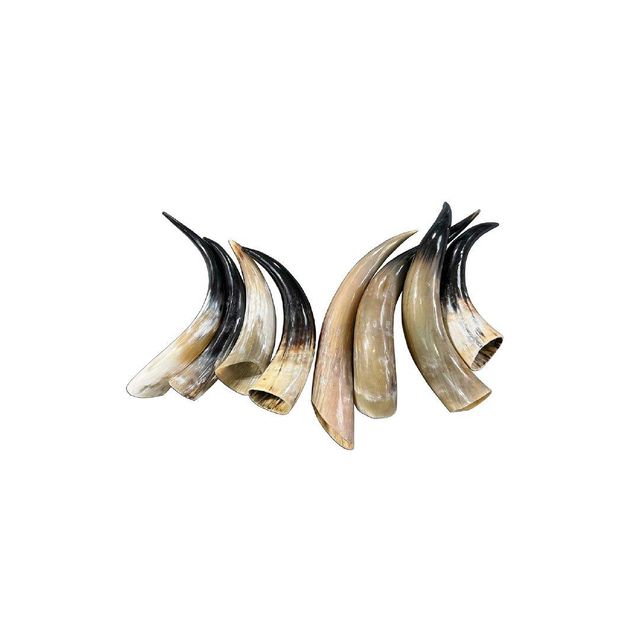 Premium quality cow horn offered at factory price for wholesale buyers - Image 2