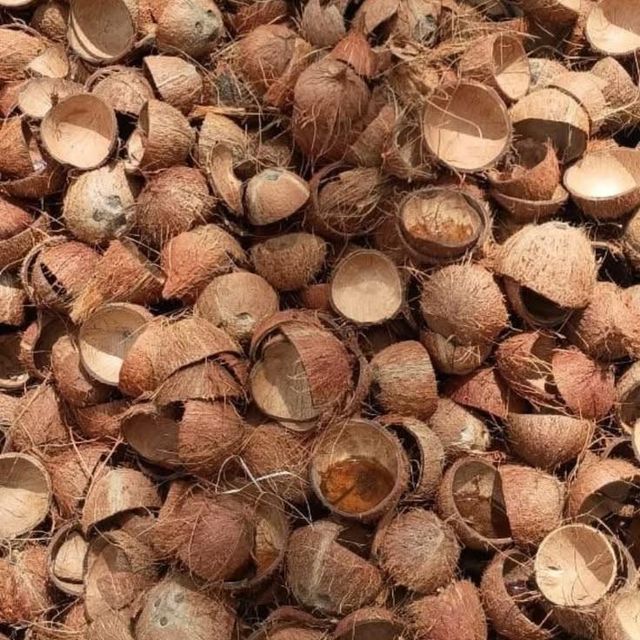 Wholesale raw coconut shell material available for agriculture waste management with fast delivery - Image 1