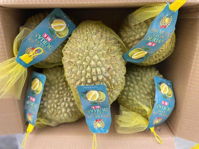Frozen Whole Ri6 Durian - Image 1