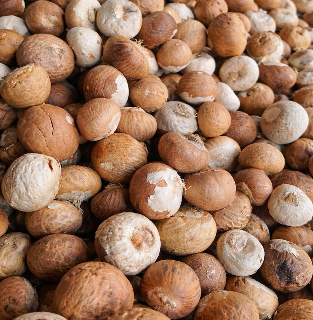 Dried Betel Nut (Supari), Areca nut - Image 3