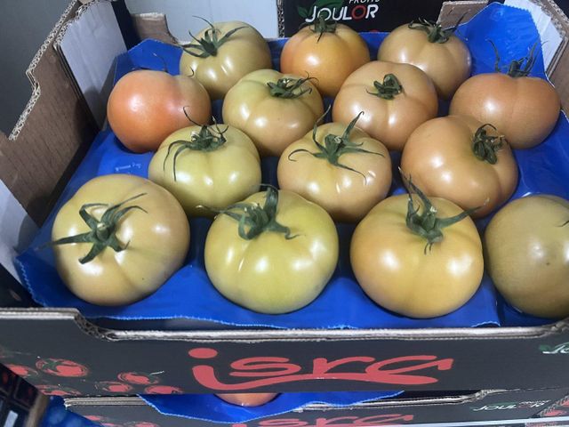 TOMATO – product photo 4, product detail gallery