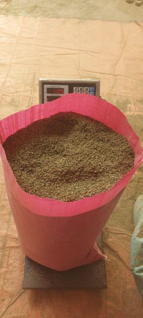Dried Marjoram Leaves – Export Quality Delivery Form Bag Freshness Level Dried Form Chopped, Ground, Uncut Features Fair Trade, No Preservatives - Image 4
