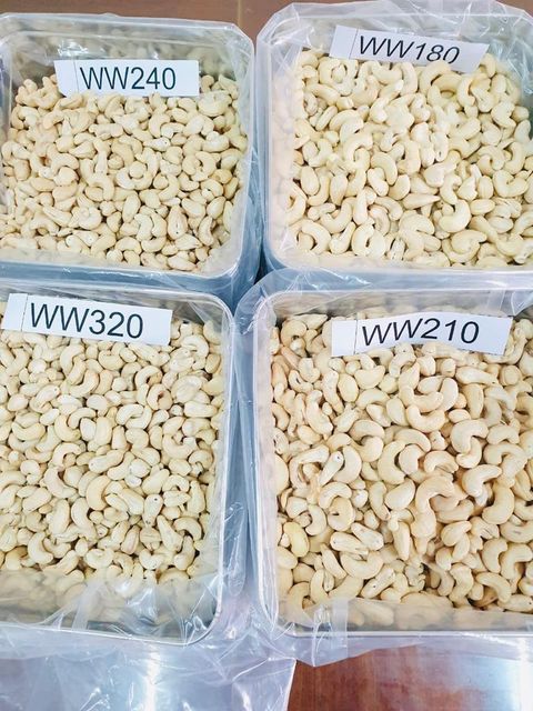 Cashew nuts and coffee beans Form Whole Organic Yes Origin West Africa Degree of Processing Natural - Image 3