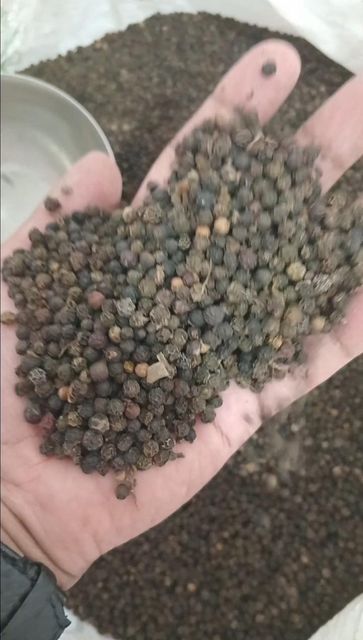 Black pepper 500gl Form Whole Origin India Delivery Form Bag - Image 1