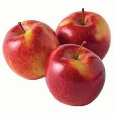 High Quality Organic Red Fuji Apples Freshly Harvested Top Grade Selection For Wholesale Buyers Export Markets - Image 4