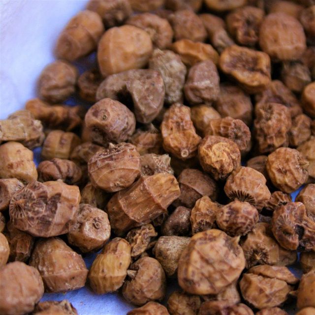Premium Tiger Nut Raw Tiger Nut Organic Healthy Snack Rich In Energy And Nutrients For Bulk Export And Wholesale Buyers - Image 3