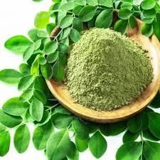Dehydrated Fenugreek Leaves Powder – Premium Quality - Image 1