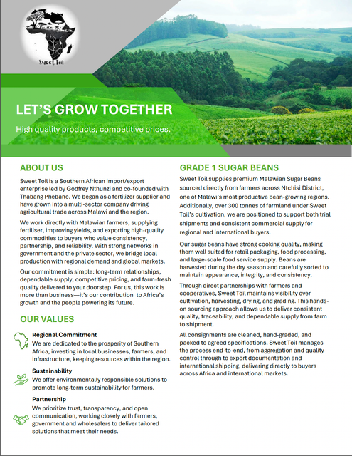 Grade 1 Sugar Beans - Image 3