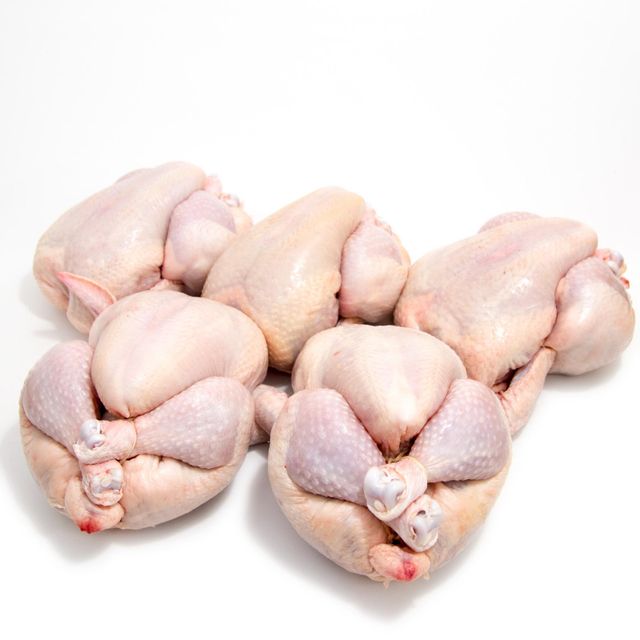Top Quality Whole Frozen Chicken With Hygienic Handling Frozen Chicken Ready For Wholesale Distribution And Export - Image 5