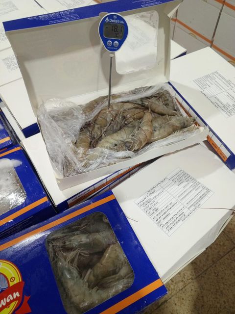 High-quality Ecuadorian shrimp, the best shrimp in the world - Image 1