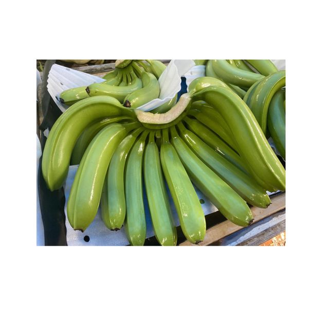 Wholesale Fresh Green Cavendish Banana Export Grade Bulk Supply - Image 3