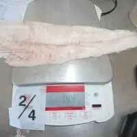 Hake Hubbsi - Image 1