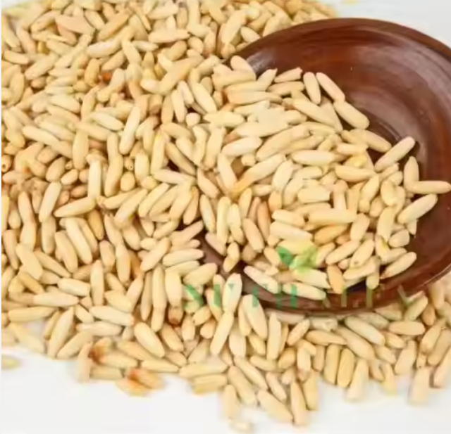 Wholesale Premium Quality Pine Nuts – Raw, Shelled & Roasted Edible Pine Kernels - Image 1
