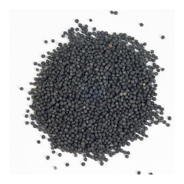 Affordable rapeseed wholesale ideal for agriculture and oil processing - Image 4