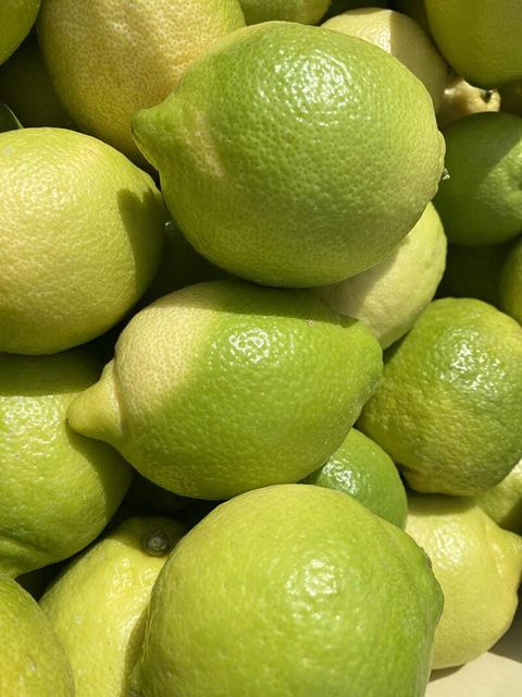 FRESH GREEN SEEDLESS LEMONS FOR SALE!! CLASS 1 EXPORT QUALITY EUREKA LEMONS FOR EXPORT – product photo 4, product detail gallery