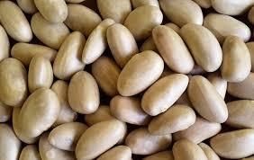 Jackfruit Seeds – Nutritious, Protein-Rich Superfood | Natural Snack & Flour - Image 3