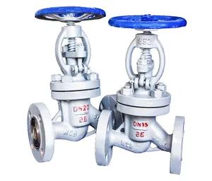 J41h-16c Cast Iron Globe Valve DN50 16kgs GB Manual 1Y Size DN50 Standard GB Origin China Pressure 16kgs Trademark HOMOR - Image 6