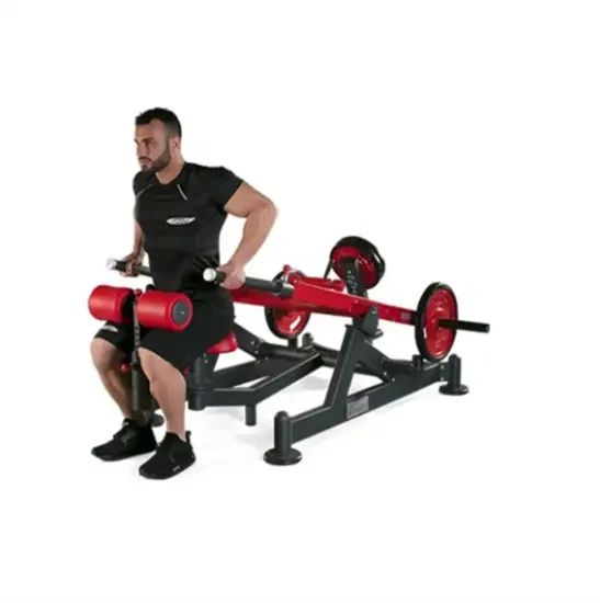 Gym Dual Function Fitness Equipment Plate Load Strength Exercise Machine Horizontal Bench Dips Press - Image 3