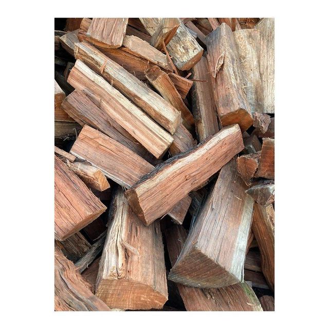 Premium Cherry Wood Logs Wholesale Fast Delivery Stock Transport Means Freight Train Transport Destination Africa, Asia - Image 3