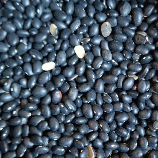 Black Bean Selected From Fresh Harvest Crops With Excellent Purity Standards For Reliable Bulk Ingredient Supply - Image 3