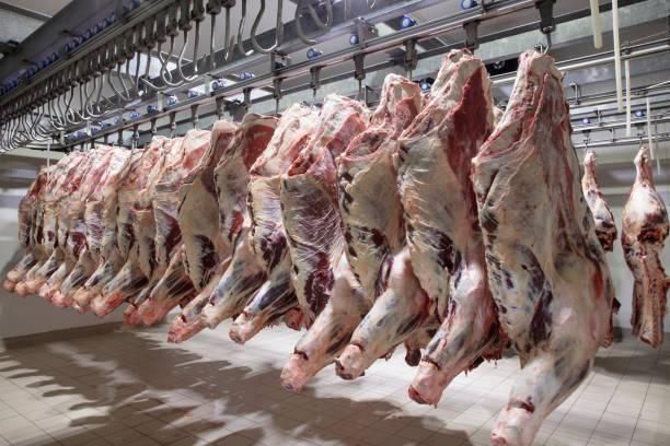 FRESH BULL MEAT Beef - Image 2
