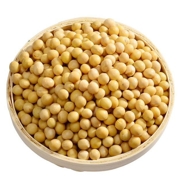 Top quality Soyabeans Seed Nongmo Yes Max Color 2% Max Splits 20% Husks No Husks Admixture 1% Max Features Organic Seed Color 50.3% - Image 4
