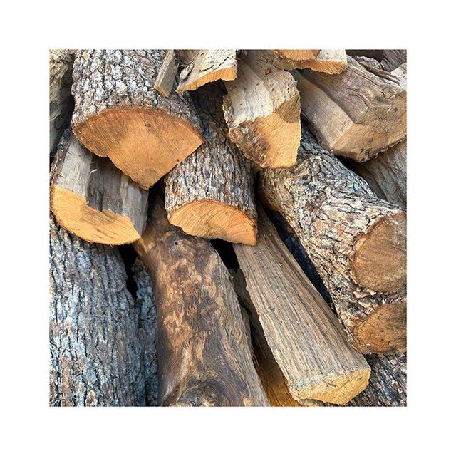 Premium Oak Wood Logs Wholesale Fast Delivery Stock Material Glass - Image 1