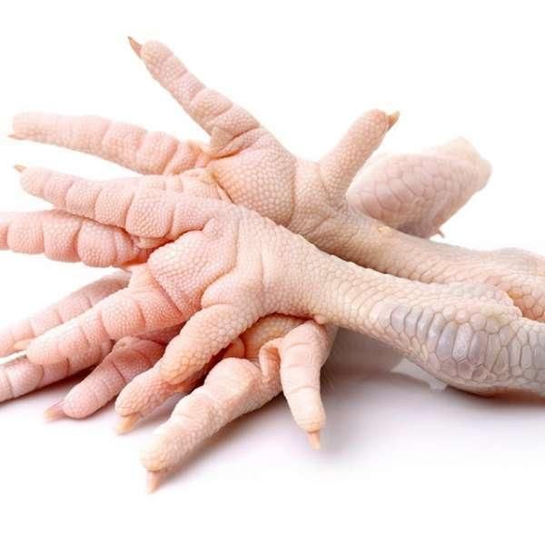 Bulk Frozen Chicken Feet Available Now Perfect for High-Volume Purchase Fresh and Premium Poultry Parts - Image 4