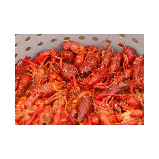 Newup Wholesale 2pcs/Bag 10CM Soft Crawfish Shrimp Silicon Bait Shrimp Soft Bionic Fishing Lure Newup Wholesale 2pcs/Bag 10CM Soft Crawfish Shrimp Silicon Bait Shrimp Soft Bionic Fishing Lure Newup Wholesale 2pcs/Bag 10CM Soft Crawfish Shrimp Silicon Bait Shrimp Soft Bionic Fishing Lure - Image 3