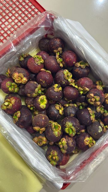 Premium Indonesia Fresh Mangosteen with Fresh Green Petal Shape Spherical Origin Indonesia Texture Soft And Creamy Place of Origin Indonesia - Image 5