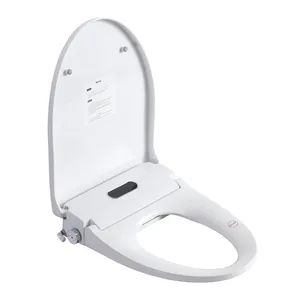 China Factory Direct Sale Multi-Functions Smart Bidets with Remote Control - Image 4