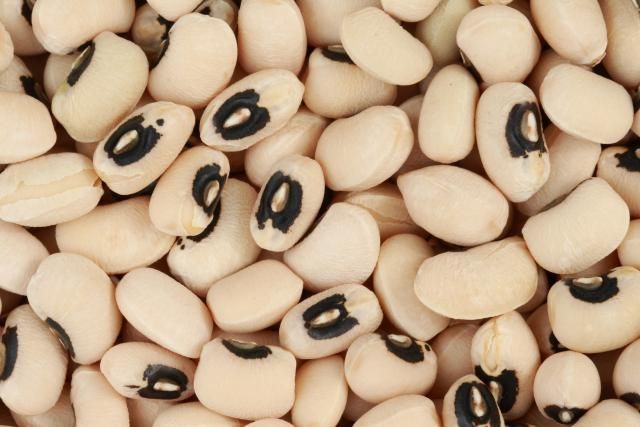 COWPEA SEEDS Grade A GRADE Packaging 30KG, 50KG PP - Image 1