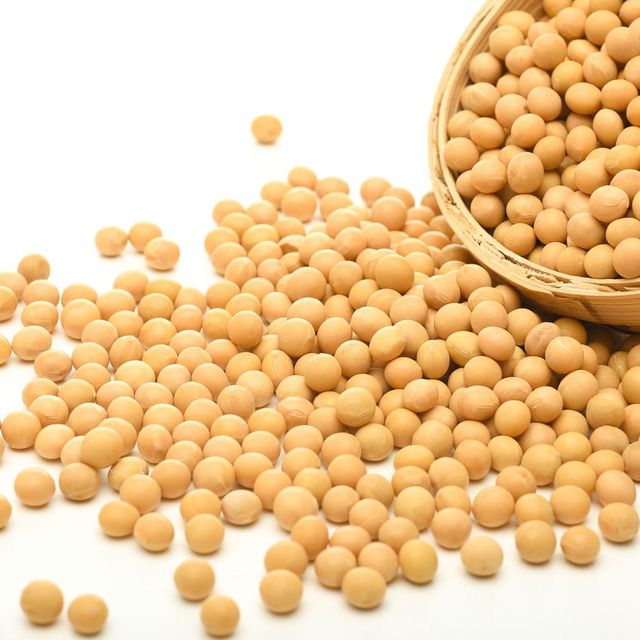 Organic Soybean Seeds/Soyabean Seeds from India at Affordable Price - Image 3