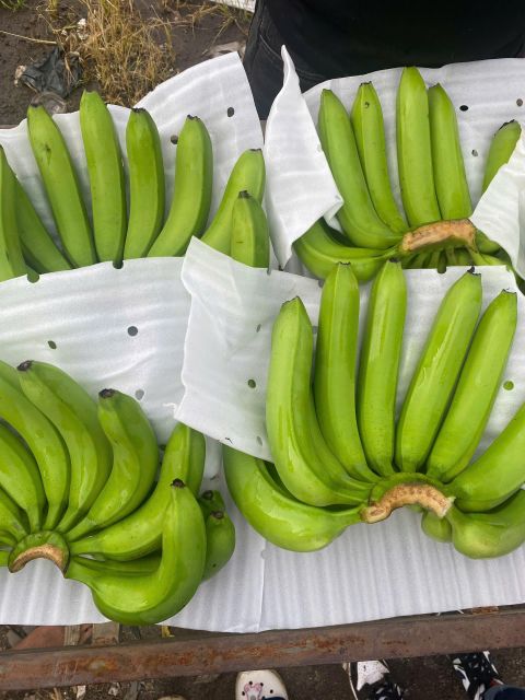Banana – product photo 1, product detail gallery