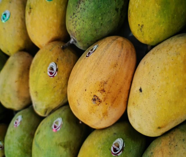 🥭 Premium Pakistani Mango | Fresh Sweet Mango | Grade A Quality | Farm Fresh | Wholesale Supplier | Global Export - Image 4