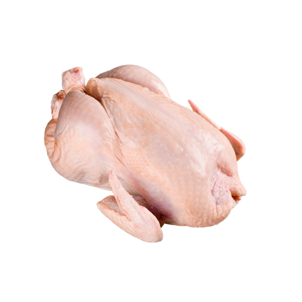 Wholesale Frozen Whole Skinless Chicken, Poultry Products - Image 3