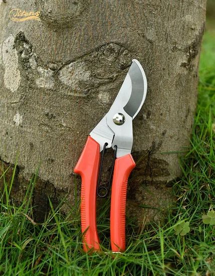 Titans Low Price Pruning Scissors for Gardening G.W 172g MOQ 100PCS Origin China Brand Titans Head Color Red Folded - Image 6