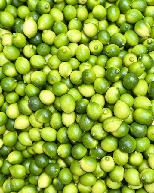 Premium Fresh Limes for sale Organic Yes Origin South Africa - Image 3