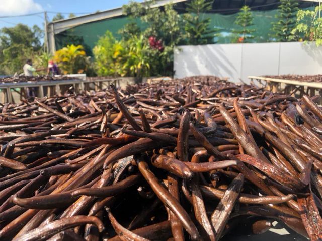 Dried Vanilla Beans Planifolia 16-20cm 1.8-2.4% Vanillin Content Food Grade Vacuum Packed - Image 1