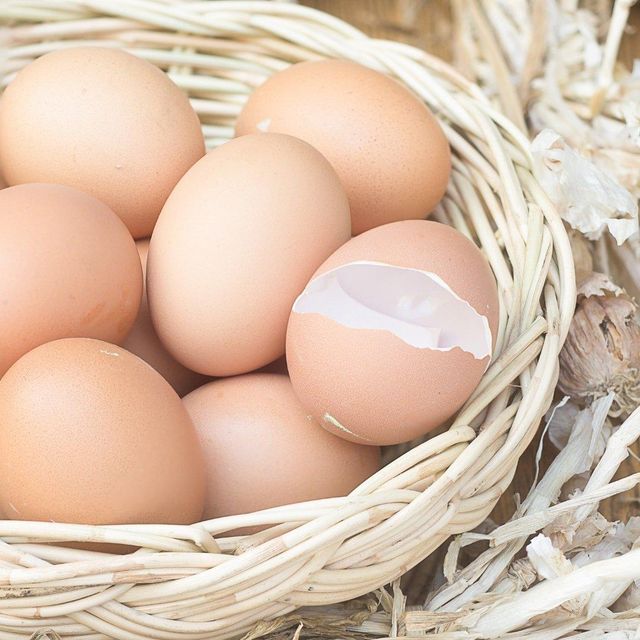 Fresh Table Eggs Produced From Free Range Hens High Quality Table Eggs Packed With Natural Goodness - Image 2