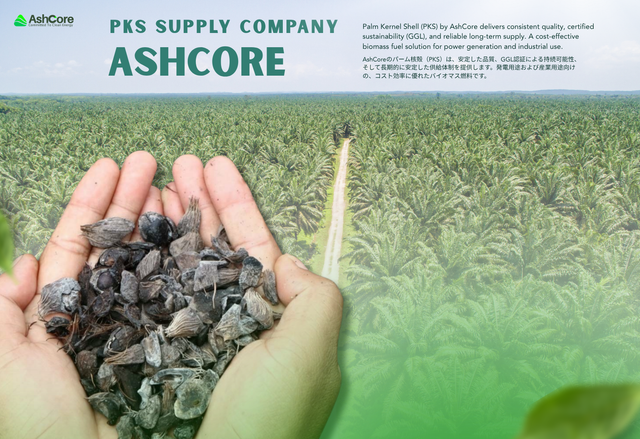 Palm Kernel Shell (PKS) Cangkang Sawit – Export Quality | GGL - ISCC - SURE Certified | High Calorific Value, Low Ash, & Low Moisture | Indonesia Origin | Reliable Supply - Image 3