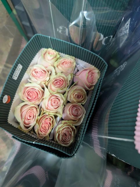 Fresh cut premium colombianroses 40cm-120cm - Image 3