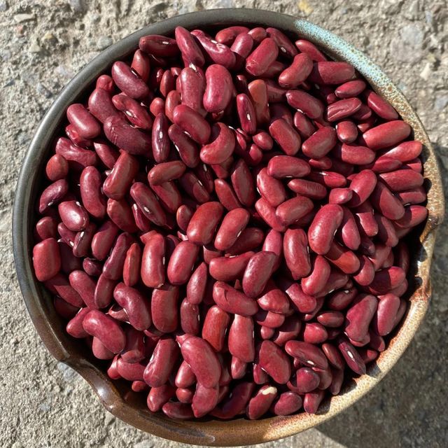 High Quality Dried Kidney Beans Suitable for Cooking Canning and Food Processing with Long Shelf Life - Image 4