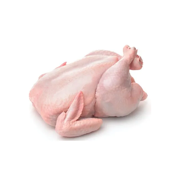 premium frozen chicken cheapest whole raw chicken for sale – product photo 4, product detail gallery
