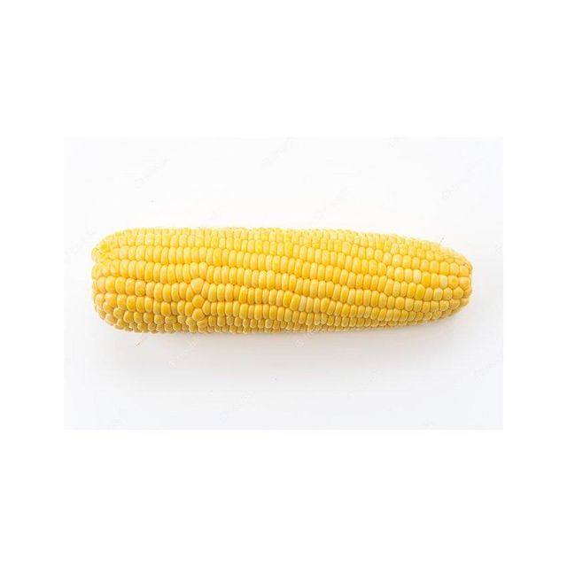 bulk yellow corn kernels for restaurants food businesses and home kitchens premium quality corn grains perfect for popcorn cornmeal tortillas baking and traditional cooking recipes - Image 5