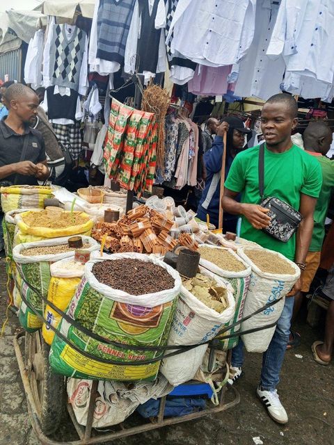 Black Pepper, Cloves, Turmeric, Hibiscus, Ginger, Cumin Seeds, Coriander, Thymes, Char seed, Fenugreek seed, Flaxseed, Lantine, Star Anis, Bay Leaf, Fennel, Rosemary, Cinnamon, Anis Vert, Oregano, Crayfish, Garri, Dried Fish, Crude Palm Oil, Sesame Seeds, Africa Nutmeg, Garlic - Image 2