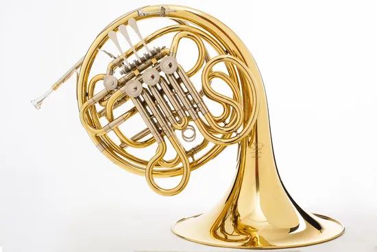 Good Double French Horn OEM Origin China Trademark Forest HS Code 9205100090 Model NO. LKFH-3088 Specification - Image 1